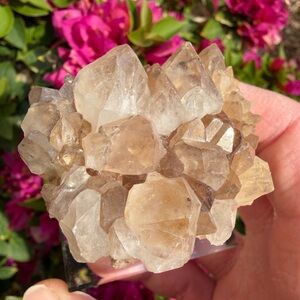 Quartz with Smoky and Citrine Display Stand